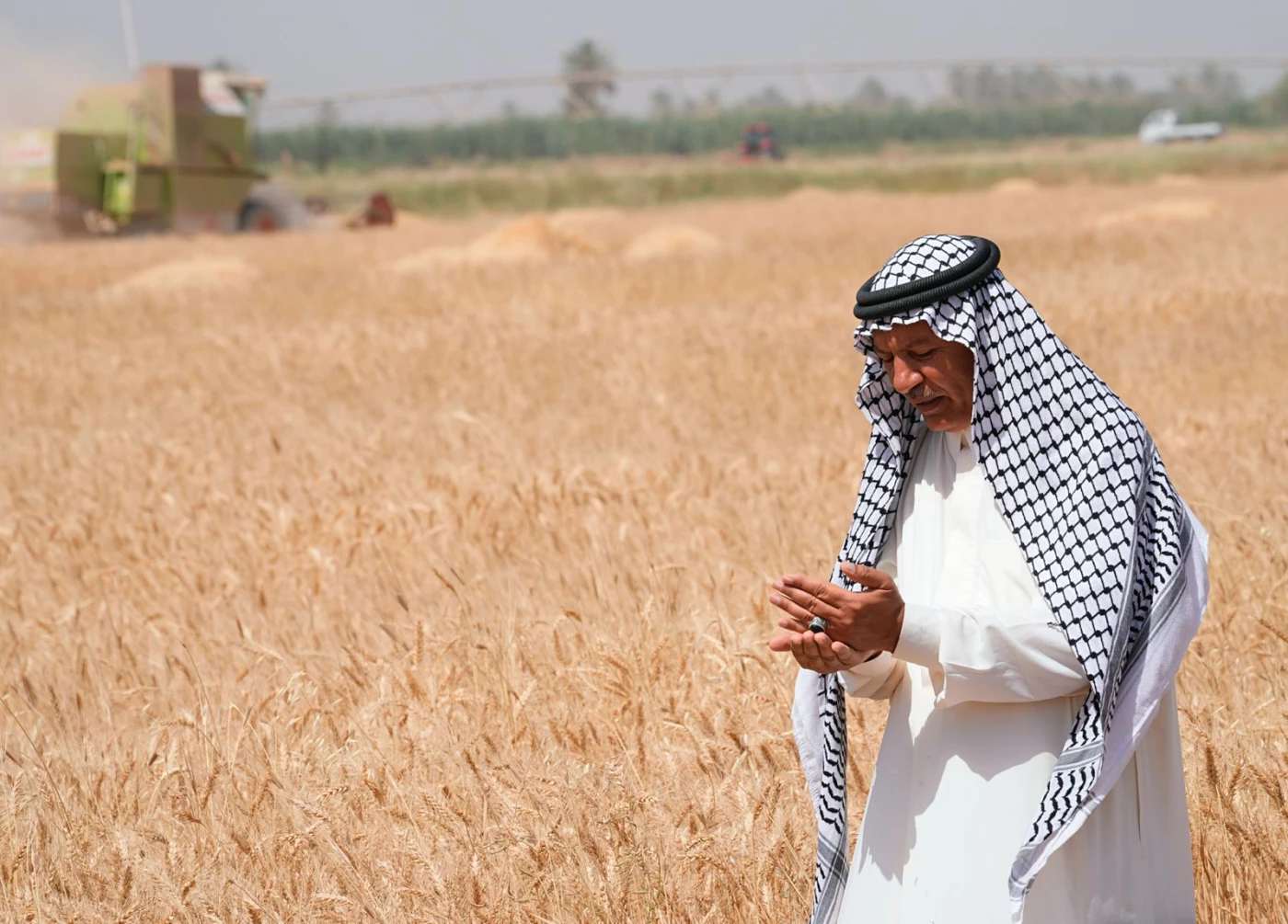 العراق يعتزم إجراء تعداد زراعي لأول مرة منذ 70 عاماً.. خطوة نحو الأمن الغذائي أم "استهلاك إعلامي"؟