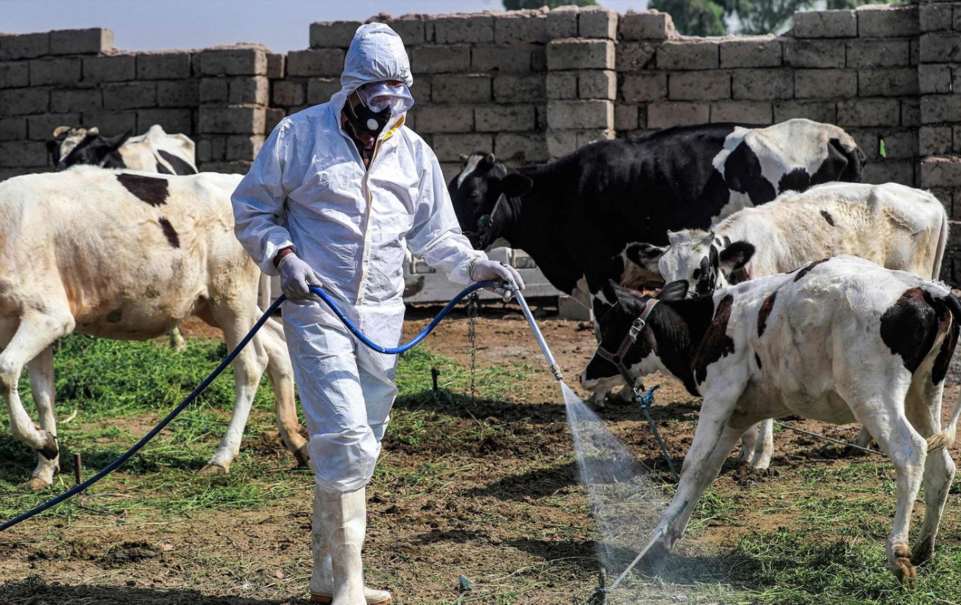 بعد تسجيل أول حالة.. 9 إرشادات من صحة إقليم كوردستان لتجنب مرض الحمى النزفية