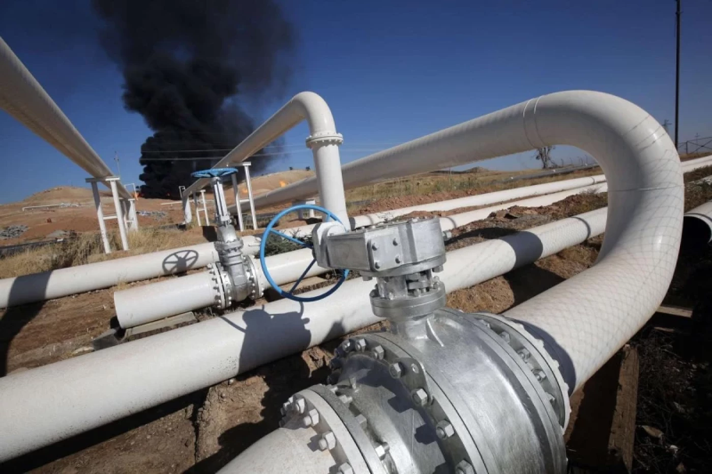 مرصد اقتصادي يكشف حجم الخسائر اليومية جراء توقف الإنتاج في "كورمور"