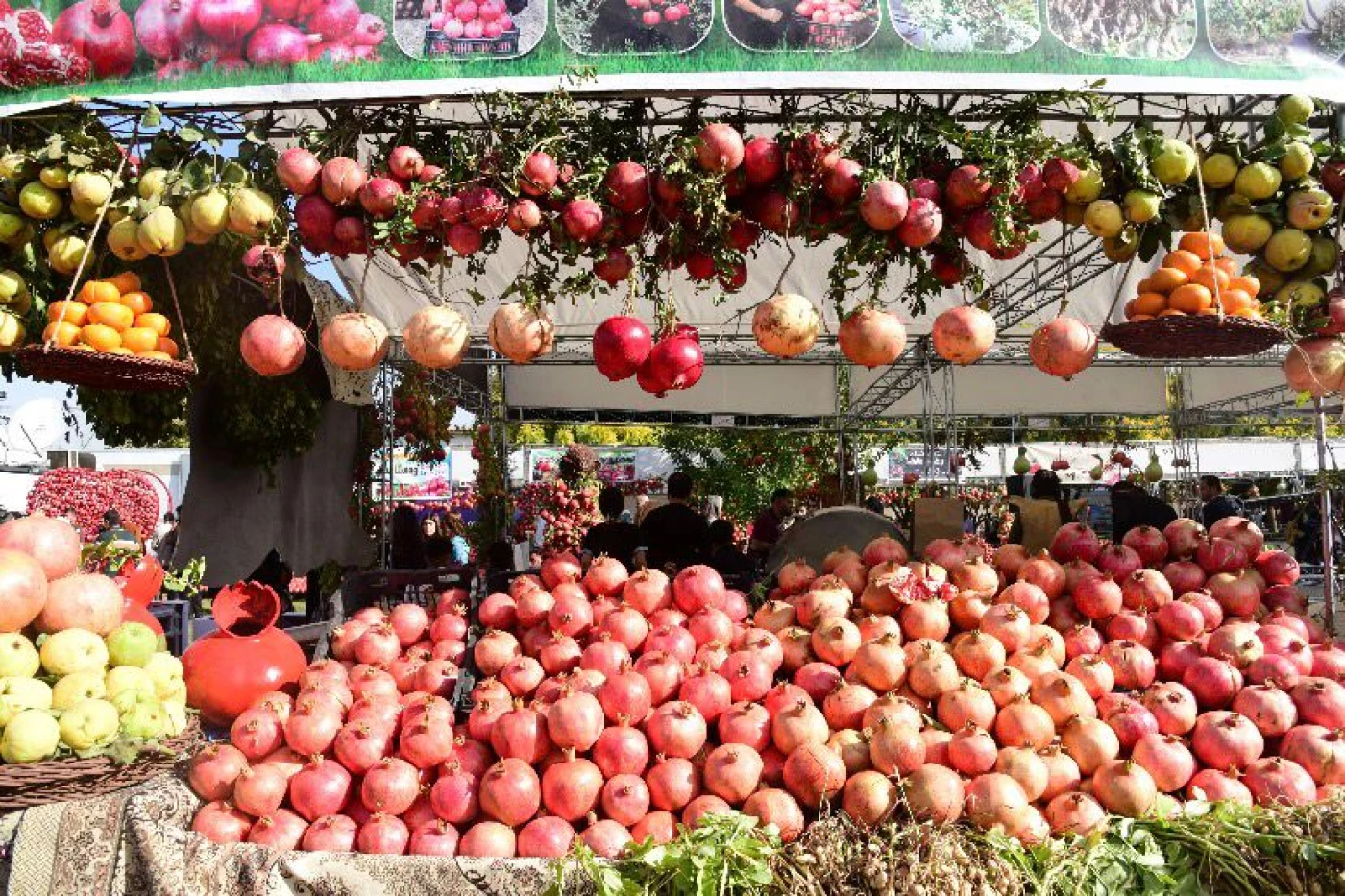 توقعات بوصول عدد المشاركين بمهرجان الرمان في حلبجة إلى نصف مليون