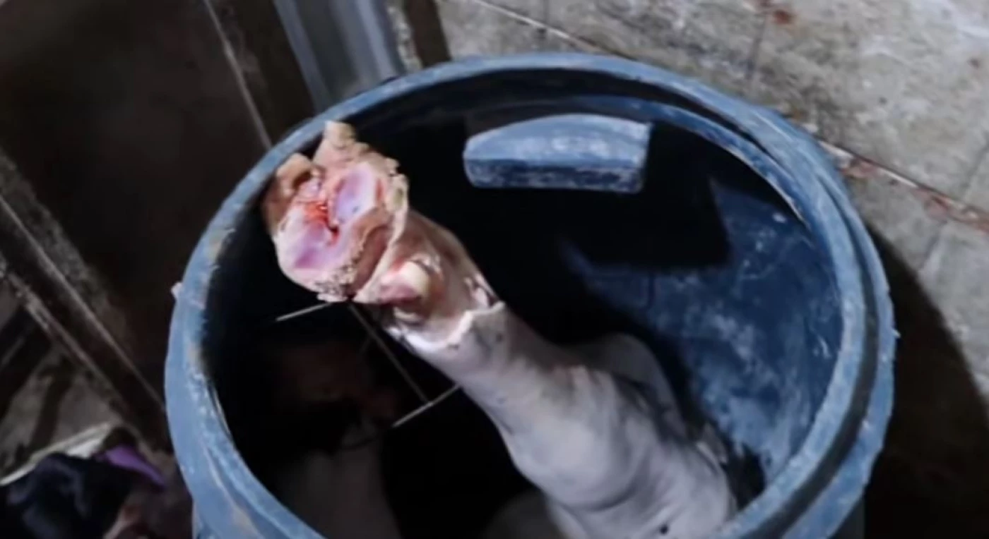 "باجة وكراعين" داخل براميل والدماء تملأ المكان.. صحة البصرة تغلق مخزناً في القديمة (فيديو)