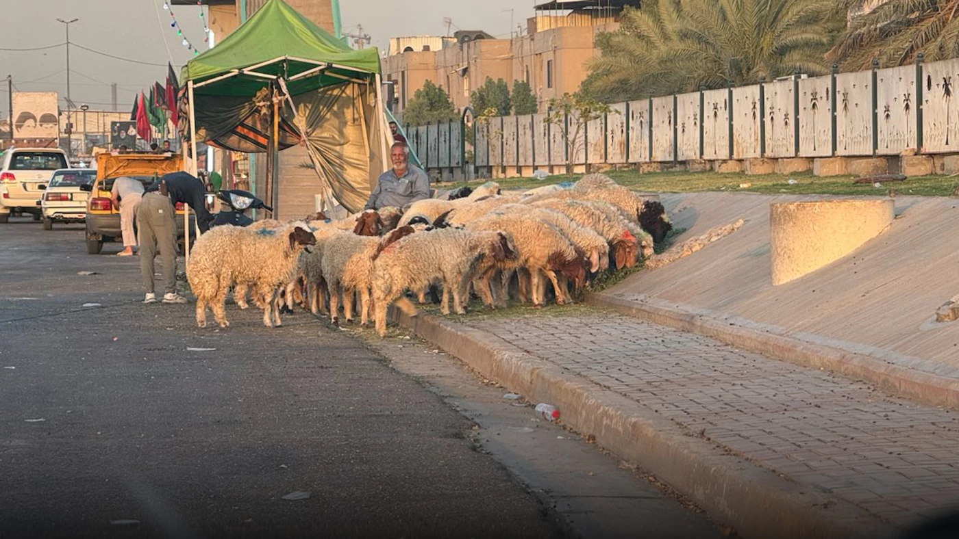 الذبح العشوائي.. خطر بيئي وصحي يهدّد حياة المواطنين في بغداد