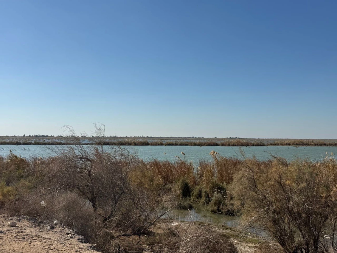 خاص| زخم سياحي أجنبي بالأهوار.. نحو 3 آلاف سائح يتدفقون شهرياً مقابل تراجع "مقلق" بمناسيب المياه