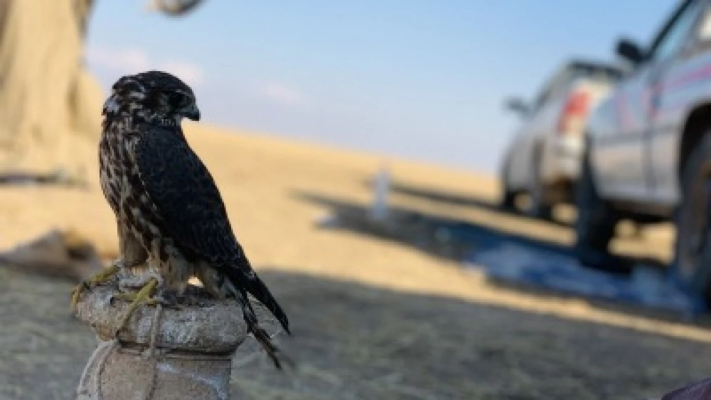 للعرب والأجانب.. ضوابط الصيد في العراق