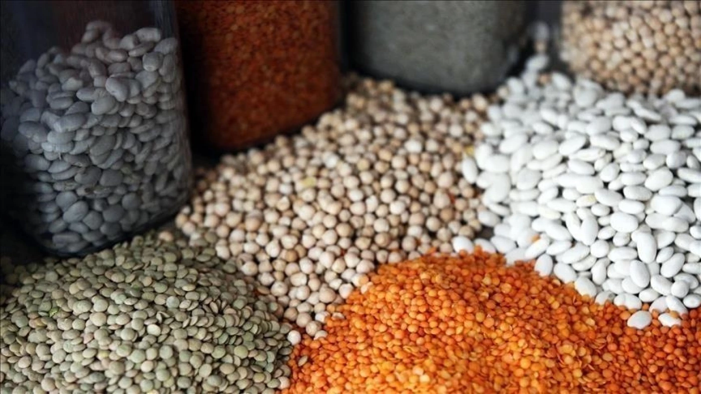 العراق يتصدّر قائمة الدول المستوردة للحبوب والبقوليات التركية عام 2025