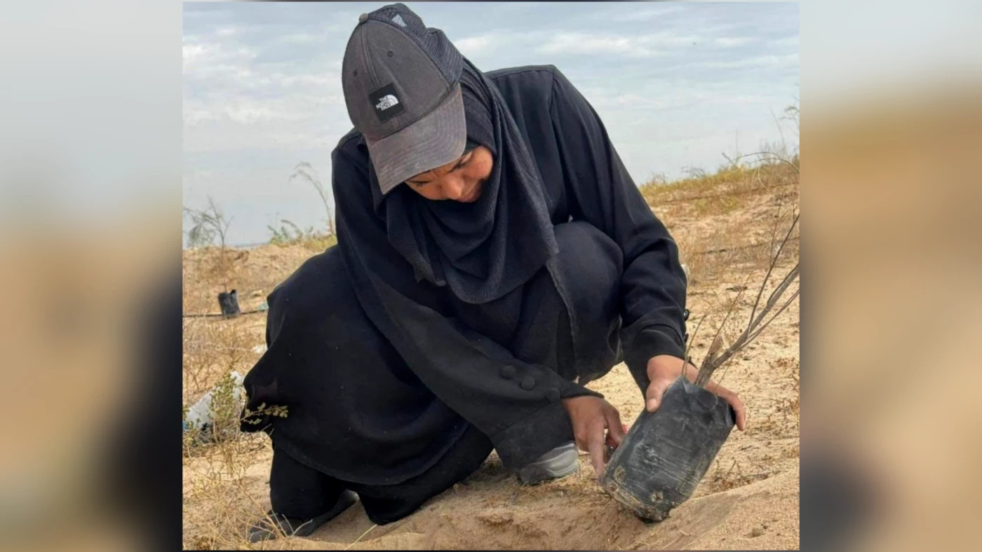 صور خاصة| زراعة أكثر من 400 شتلة.. "جبل سنام" يتحول إلى رئة خضراء في البصرة