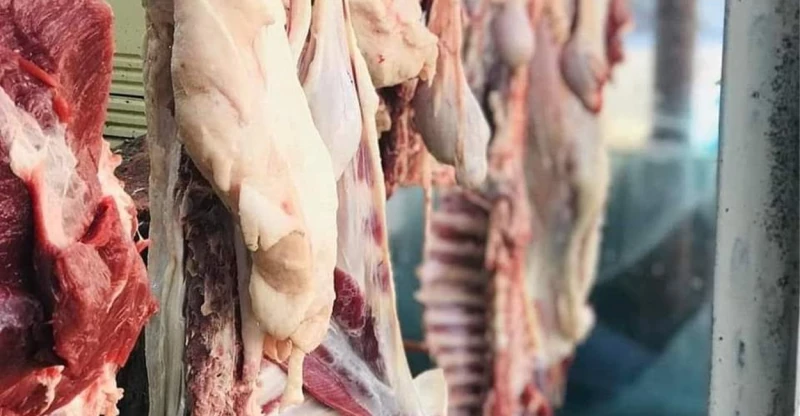 الزراعة: لجان ميدانية لمراقبة اللحوم في الأسواق العراقية