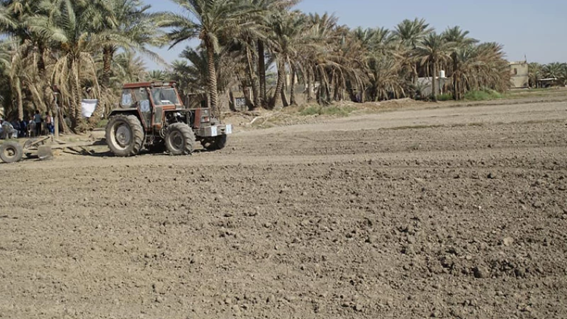 خاص| الموارد المائية بالنجف: لا خطة زراعية للصيف.. الوضع حرج والمتوفر للشرب والبستنة فقط