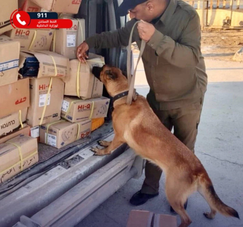 أنف "بيبيان" الكلب يساعد شرطة بابل لإحباط ثلاث محاولات تهريب مخدرات