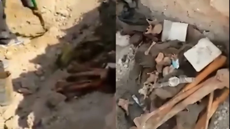 العثور على رفات قرب منفذ الشلامجة يعتقد أنها لأحد ضحايا الحرب العراقية - الإيرانية