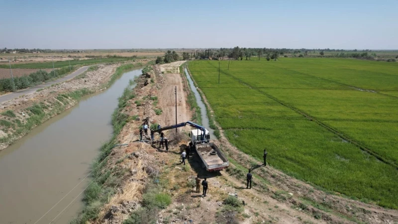 العطش يدفع أبناء ذي قار لزراعة محاصيل "مقاومة للجفاف والملوحة" 