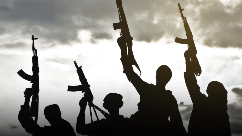 عامر الفائز يتحدث عن موعد انطلاق السلطات العراقية بعملية "نزع السلاح" 