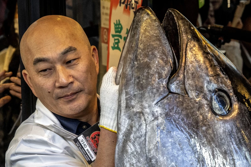 في اليابان.. بيع سمكة تونا بـ 3,27 مليون دولار