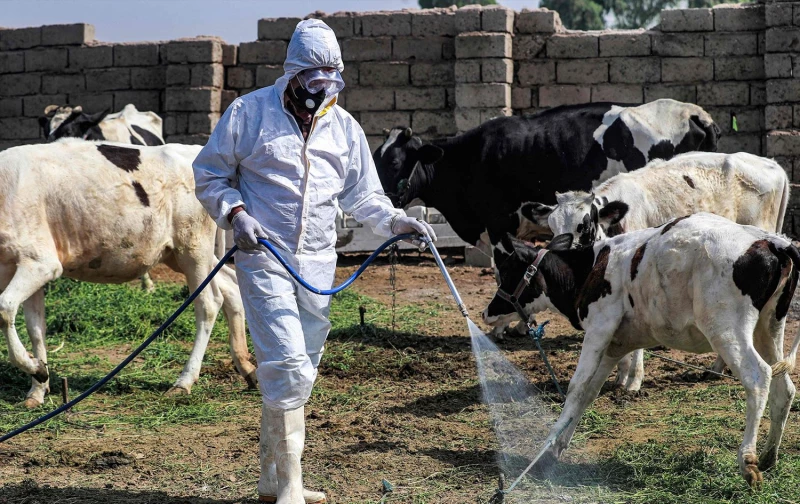 بعد تسجيل أول حالة.. 9 إرشادات من صحة إقليم كوردستان لتجنب مرض الحمى النزفية