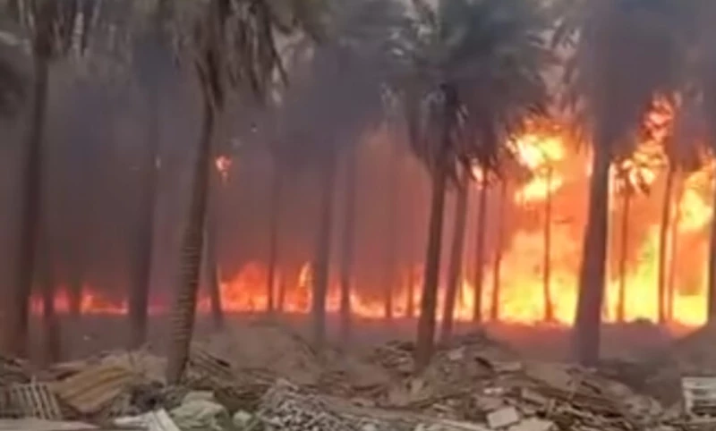 رئة العاصمة الحيوية في خطر.. تشكيل فريق ميداني لمتابعة حرائق بساتين الدورة