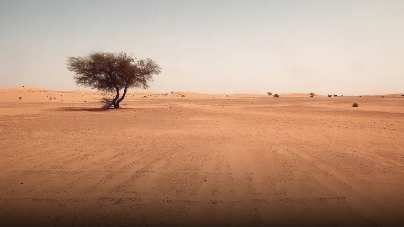 تعاون عراقي مصري جديد لمكافحة التصحّر 