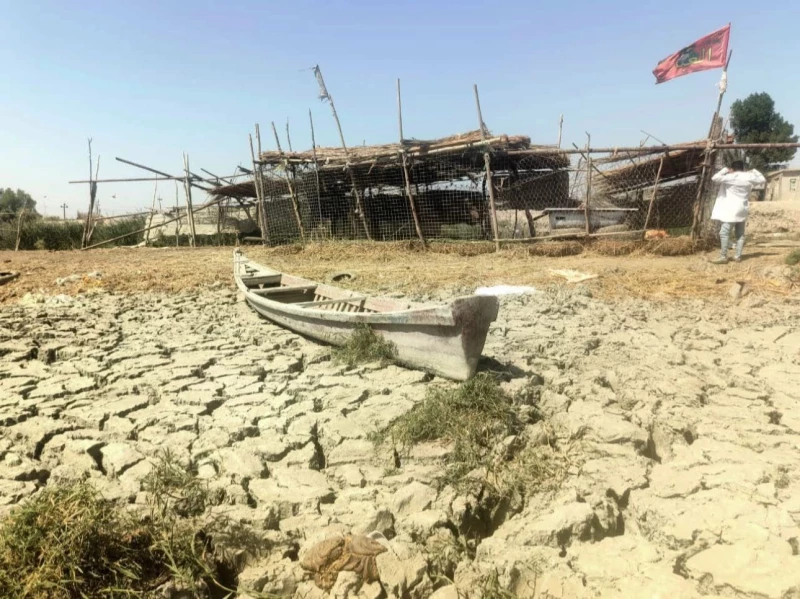 من كل مدن ذي قار.. 100 مدافع بيئي يطلقون أكبر شبكة لحماية البيئة