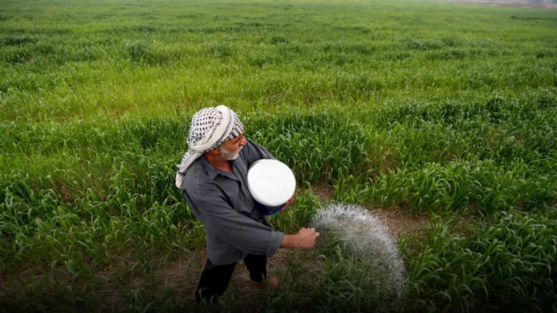 مسؤولون بذي قار يتحدثون لـ"الجبال" عن تأثير الأمطار الأخيرة على الأهوار 