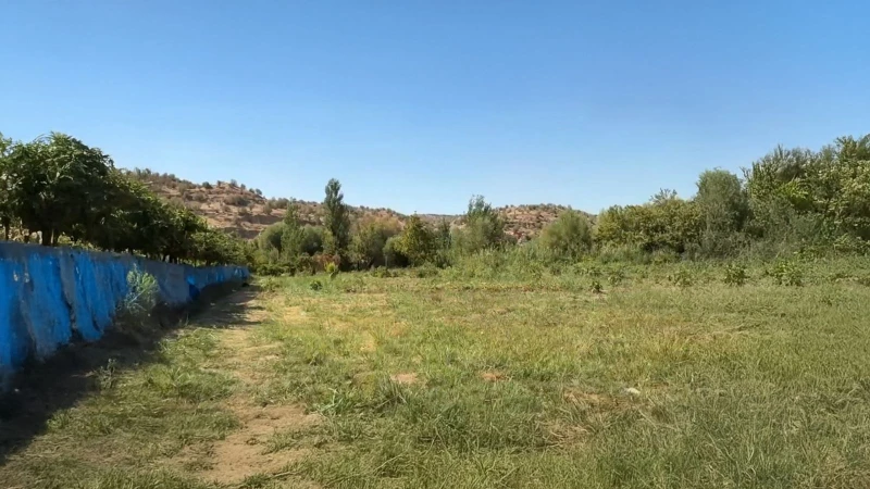 الخنازير تؤرّق سكان 10 قرى في دهوك.. وقتلها "محظور" بأمر رسمي