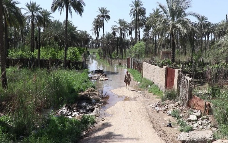 مركز حقوقي يدعو لحماية اللهجات العراقية لصون الهوية الوطنية