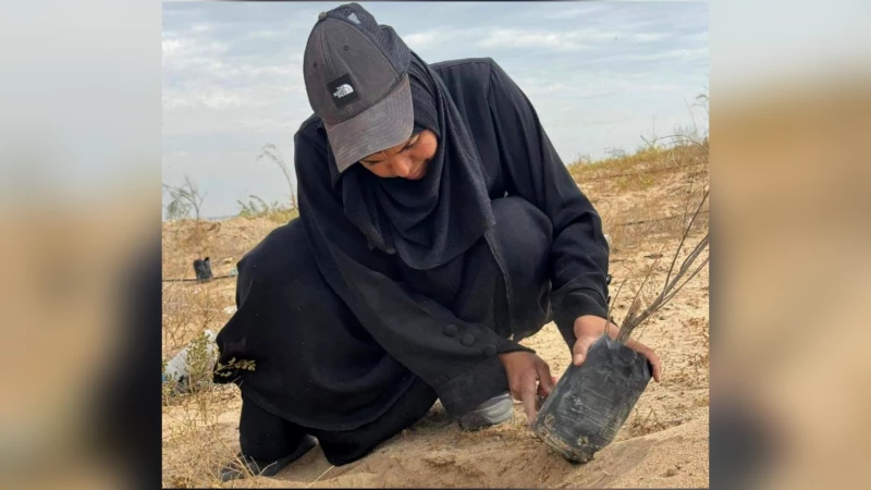 صور خاصة| زراعة أكثر من 400 شتلة.. "جبل سنام" يتحول إلى رئة خضراء في البصرة